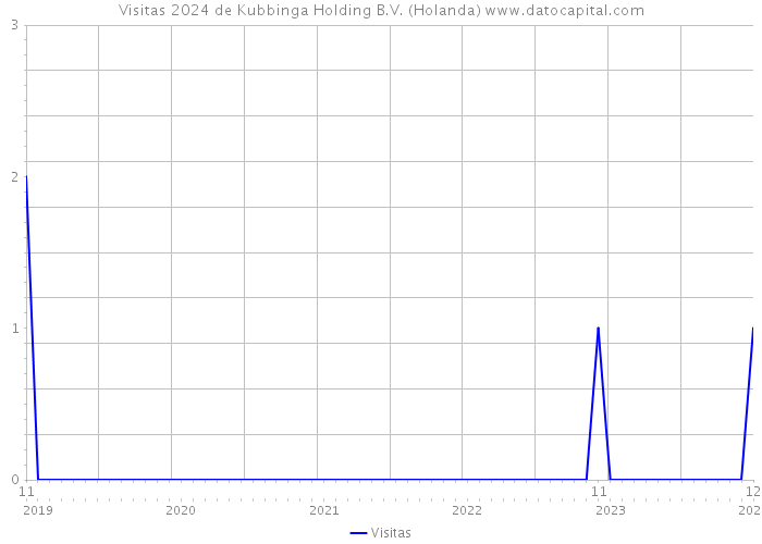 Visitas 2024 de Kubbinga Holding B.V. (Holanda) 