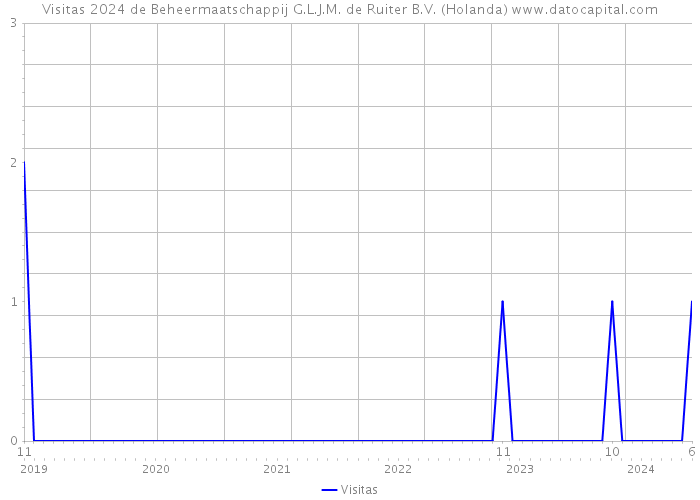 Visitas 2024 de Beheermaatschappij G.L.J.M. de Ruiter B.V. (Holanda) 