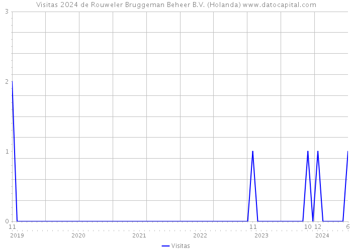 Visitas 2024 de Rouweler Bruggeman Beheer B.V. (Holanda) 