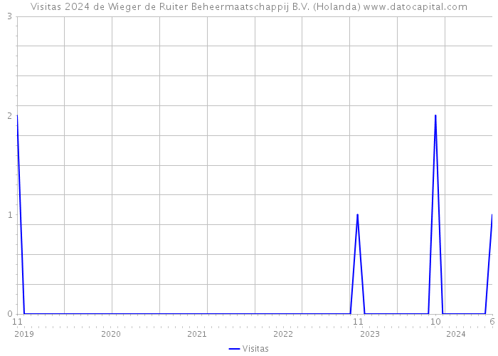 Visitas 2024 de Wieger de Ruiter Beheermaatschappij B.V. (Holanda) 