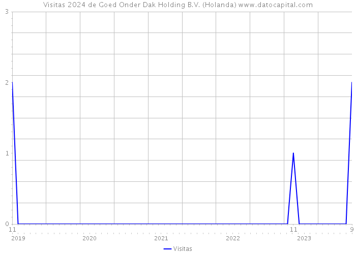 Visitas 2024 de Goed Onder Dak Holding B.V. (Holanda) 