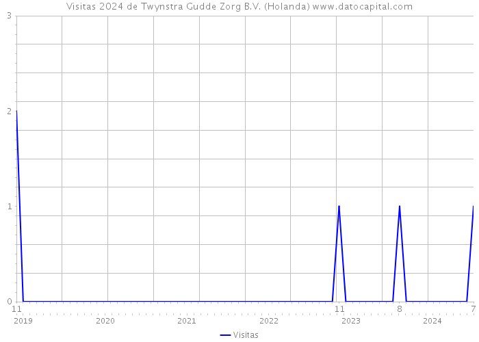 Visitas 2024 de Twynstra Gudde Zorg B.V. (Holanda) 