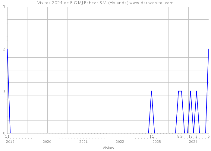 Visitas 2024 de BIG MJ Beheer B.V. (Holanda) 