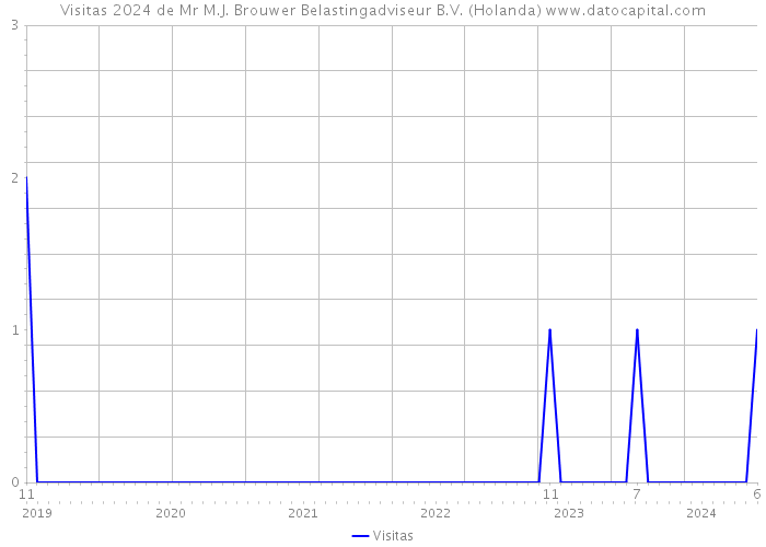 Visitas 2024 de Mr M.J. Brouwer Belastingadviseur B.V. (Holanda) 