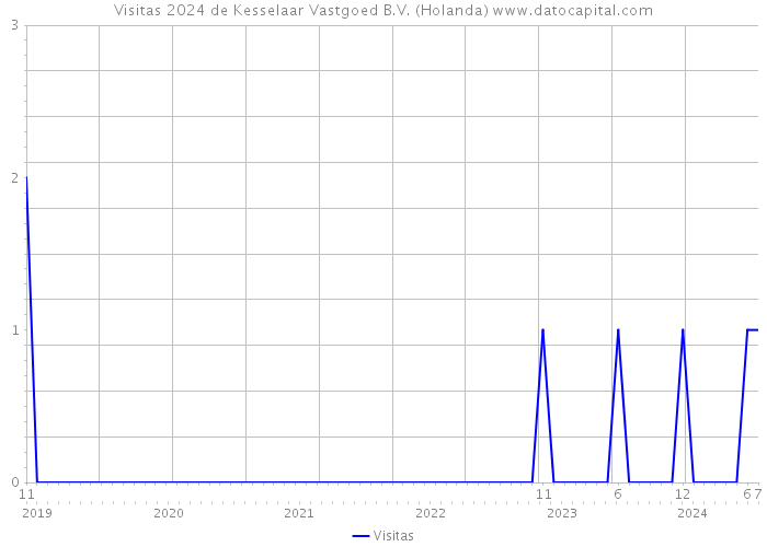 Visitas 2024 de Kesselaar Vastgoed B.V. (Holanda) 