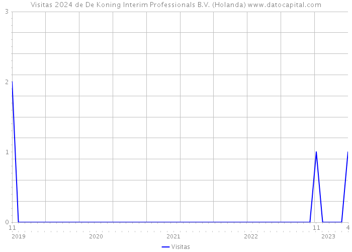 Visitas 2024 de De Koning Interim Professionals B.V. (Holanda) 