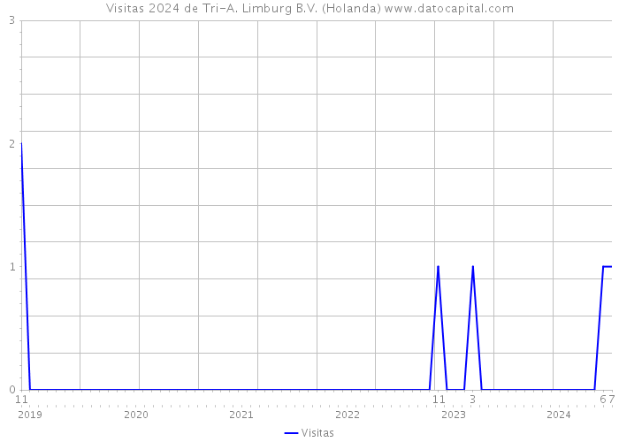 Visitas 2024 de Tri-A. Limburg B.V. (Holanda) 