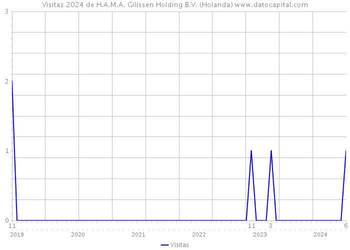 Visitas 2024 de H.A.M.A. Gilissen Holding B.V. (Holanda) 