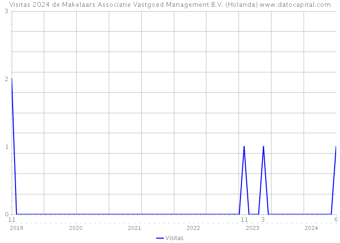 Visitas 2024 de Makelaars Associatie Vastgoed Management B.V. (Holanda) 