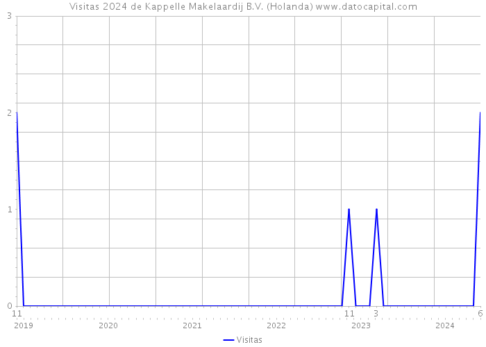 Visitas 2024 de Kappelle Makelaardij B.V. (Holanda) 