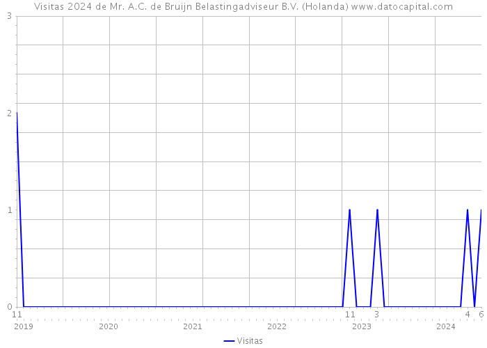 Visitas 2024 de Mr. A.C. de Bruijn Belastingadviseur B.V. (Holanda) 