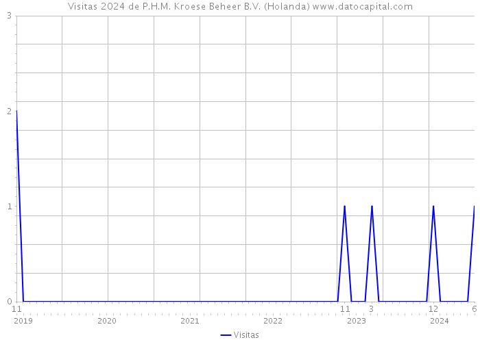 Visitas 2024 de P.H.M. Kroese Beheer B.V. (Holanda) 