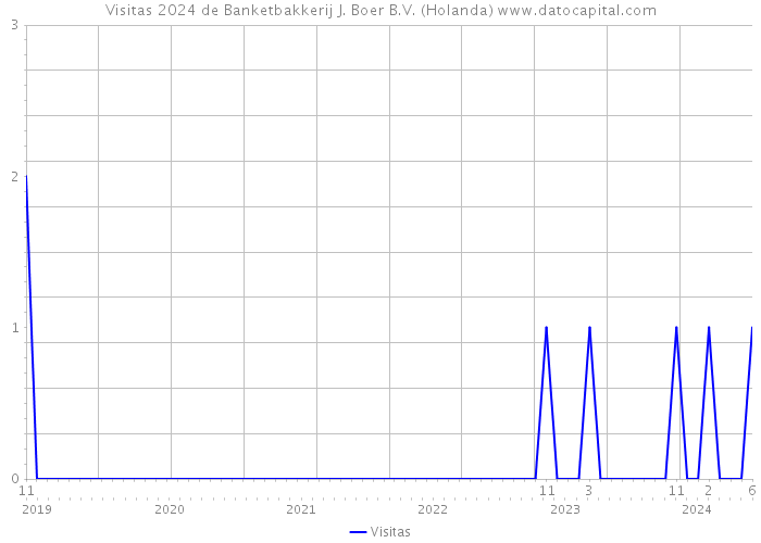 Visitas 2024 de Banketbakkerij J. Boer B.V. (Holanda) 