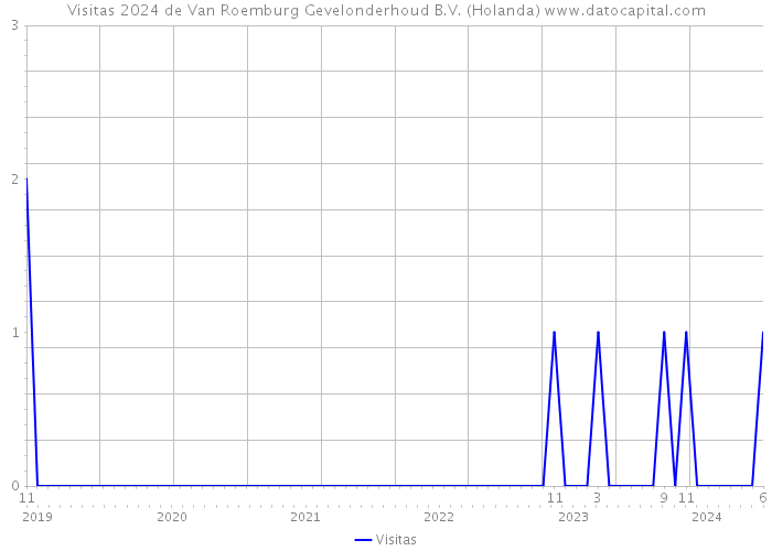 Visitas 2024 de Van Roemburg Gevelonderhoud B.V. (Holanda) 