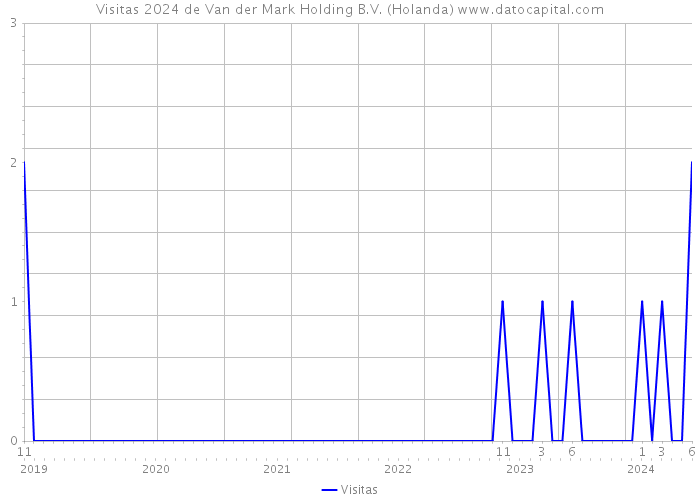 Visitas 2024 de Van der Mark Holding B.V. (Holanda) 