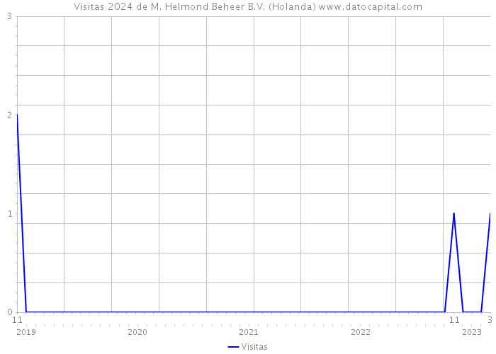 Visitas 2024 de M. Helmond Beheer B.V. (Holanda) 