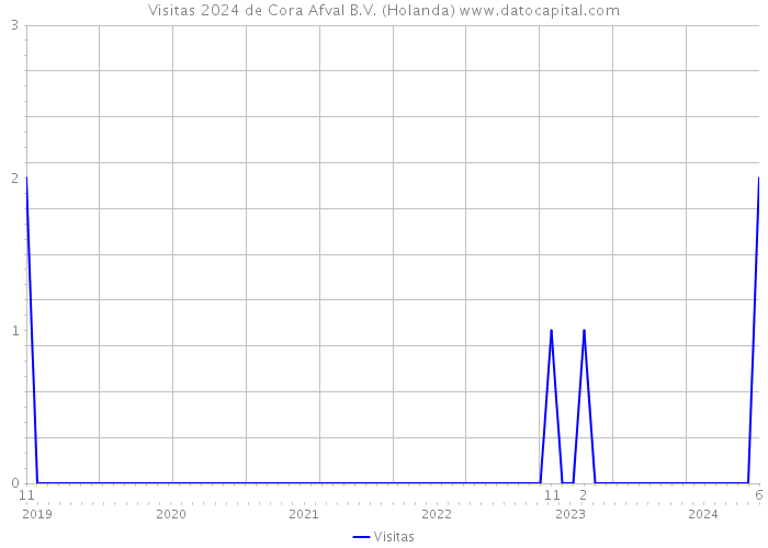 Visitas 2024 de Cora Afval B.V. (Holanda) 