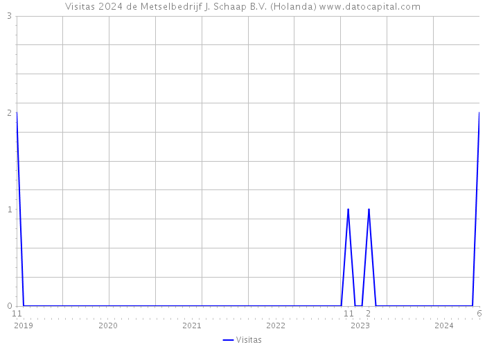 Visitas 2024 de Metselbedrijf J. Schaap B.V. (Holanda) 