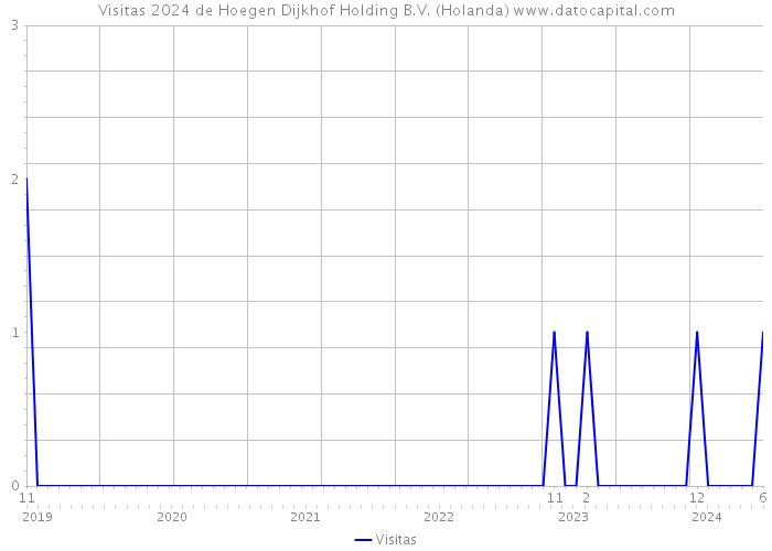 Visitas 2024 de Hoegen Dijkhof Holding B.V. (Holanda) 