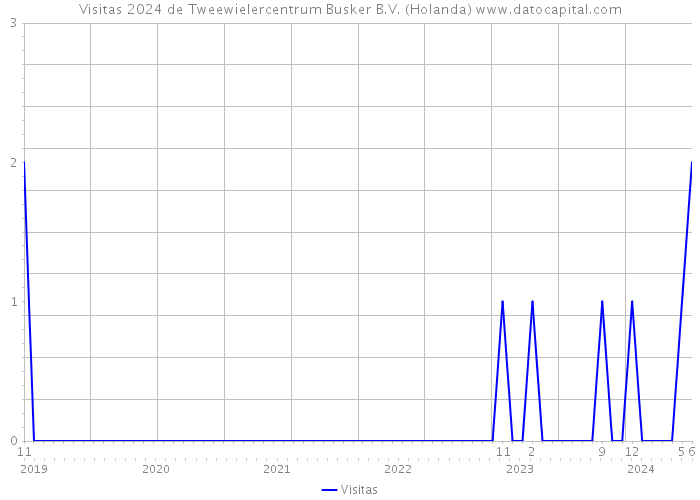 Visitas 2024 de Tweewielercentrum Busker B.V. (Holanda) 