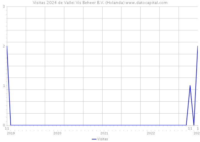 Visitas 2024 de Vallei Vis Beheer B.V. (Holanda) 