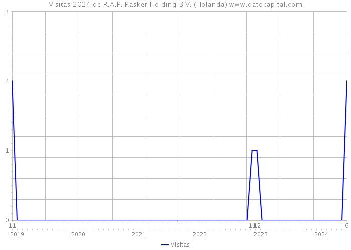 Visitas 2024 de R.A.P. Rasker Holding B.V. (Holanda) 