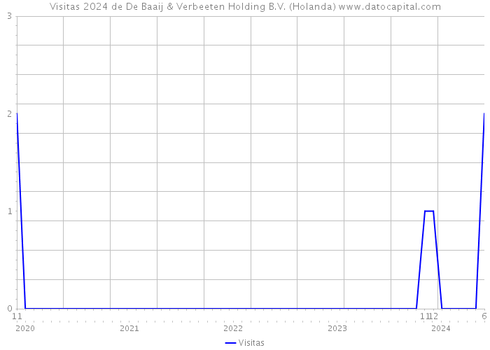 Visitas 2024 de De Baaij & Verbeeten Holding B.V. (Holanda) 