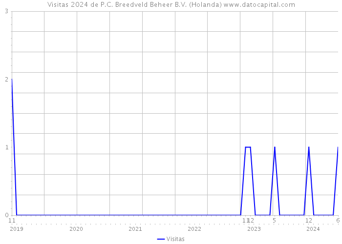 Visitas 2024 de P.C. Breedveld Beheer B.V. (Holanda) 