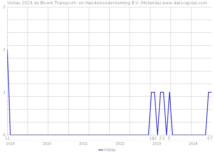 Visitas 2024 de Bloem Transport- en Handelsonderneming B.V. (Holanda) 