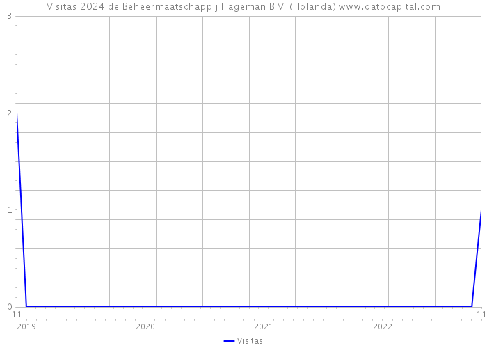 Visitas 2024 de Beheermaatschappij Hageman B.V. (Holanda) 