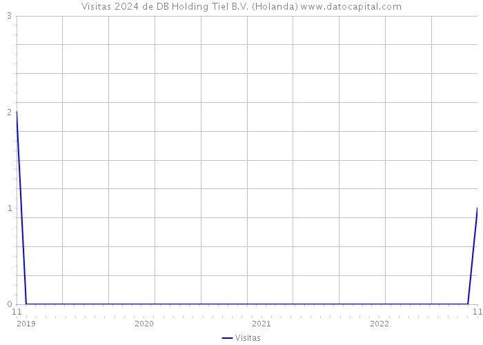 Visitas 2024 de DB Holding Tiel B.V. (Holanda) 