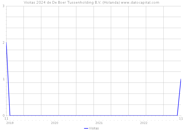 Visitas 2024 de De Boer Tussenholding B.V. (Holanda) 