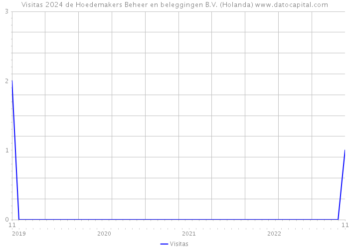Visitas 2024 de Hoedemakers Beheer en beleggingen B.V. (Holanda) 