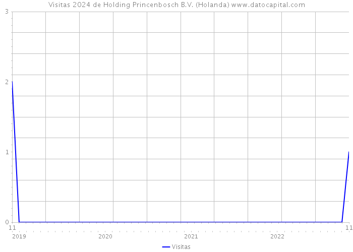 Visitas 2024 de Holding Princenbosch B.V. (Holanda) 