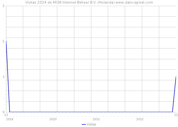 Visitas 2024 de MGM Internet Beheer B.V. (Holanda) 