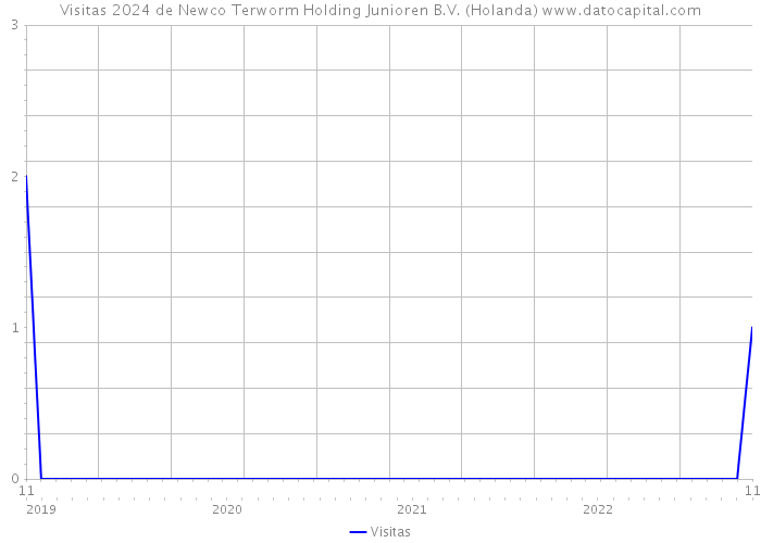 Visitas 2024 de Newco Terworm Holding Junioren B.V. (Holanda) 