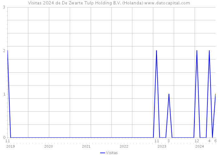 Visitas 2024 de De Zwarte Tulp Holding B.V. (Holanda) 