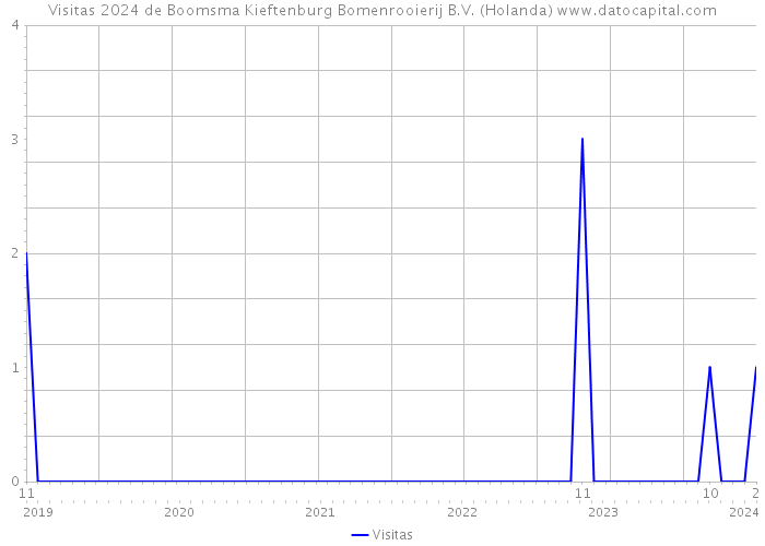 Visitas 2024 de Boomsma Kieftenburg Bomenrooierij B.V. (Holanda) 