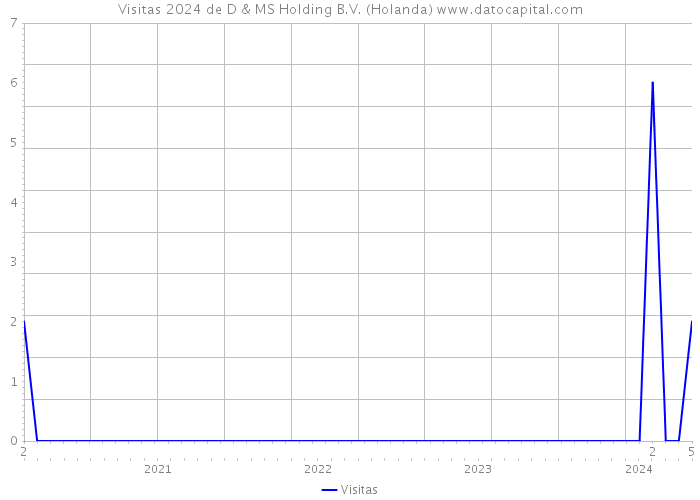 Visitas 2024 de D & MS Holding B.V. (Holanda) 