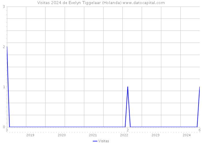 Visitas 2024 de Evelyn Tiggelaar (Holanda) 