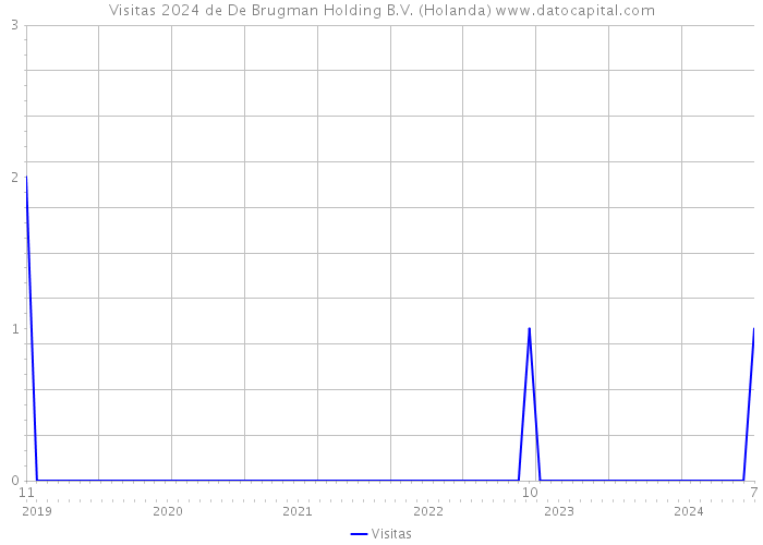 Visitas 2024 de De Brugman Holding B.V. (Holanda) 