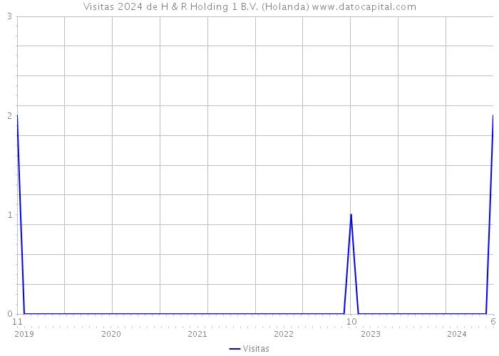 Visitas 2024 de H & R Holding 1 B.V. (Holanda) 