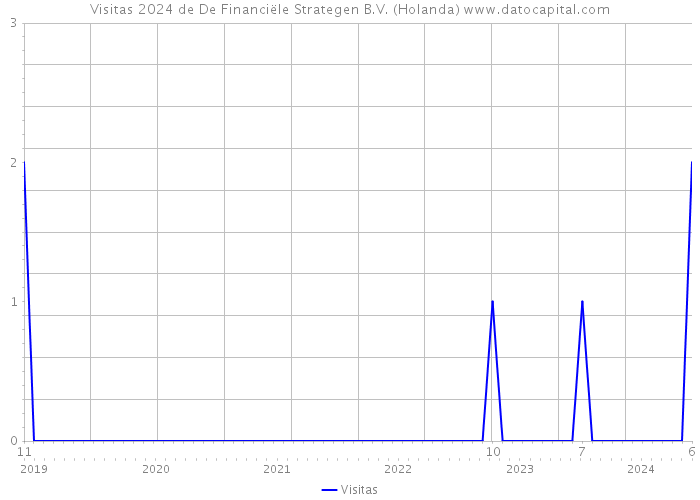 Visitas 2024 de De Financiële Strategen B.V. (Holanda) 