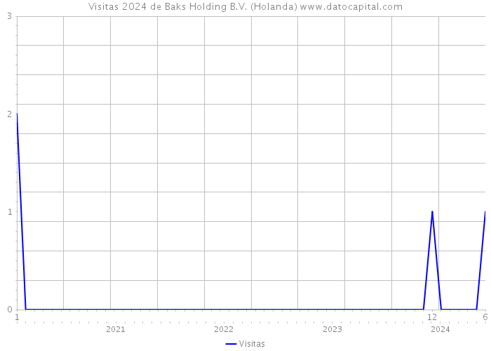 Visitas 2024 de Baks Holding B.V. (Holanda) 