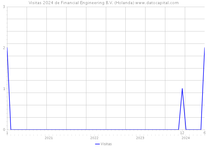 Visitas 2024 de Financial Engineering B.V. (Holanda) 