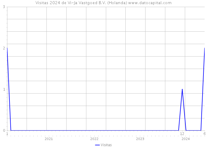 Visitas 2024 de Vi-Ja Vastgoed B.V. (Holanda) 