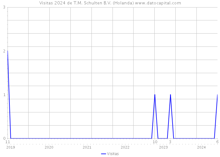 Visitas 2024 de T.M. Schulten B.V. (Holanda) 