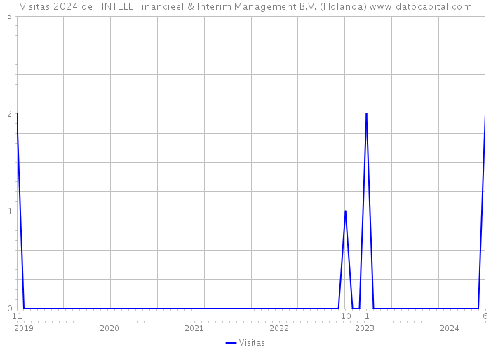 Visitas 2024 de FINTELL Financieel & Interim Management B.V. (Holanda) 