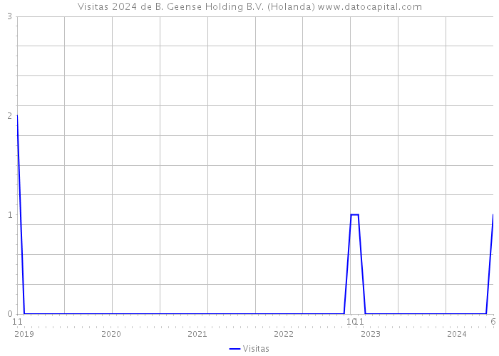 Visitas 2024 de B. Geense Holding B.V. (Holanda) 