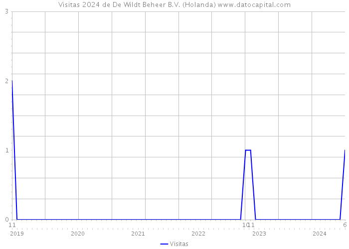 Visitas 2024 de De Wildt Beheer B.V. (Holanda) 